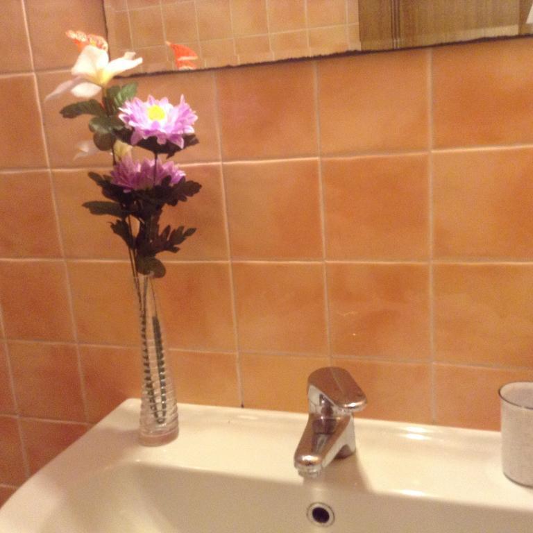 Appartement Vellutini Number One à Florence Extérieur photo